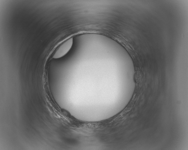 X0000071800338200606301015