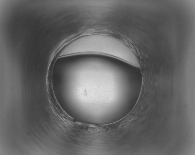 X0000071800340200606301015