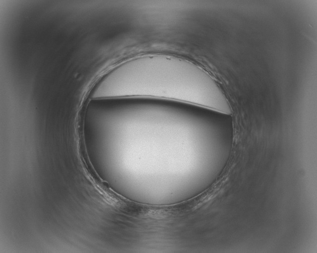 X0000071800341200606301015