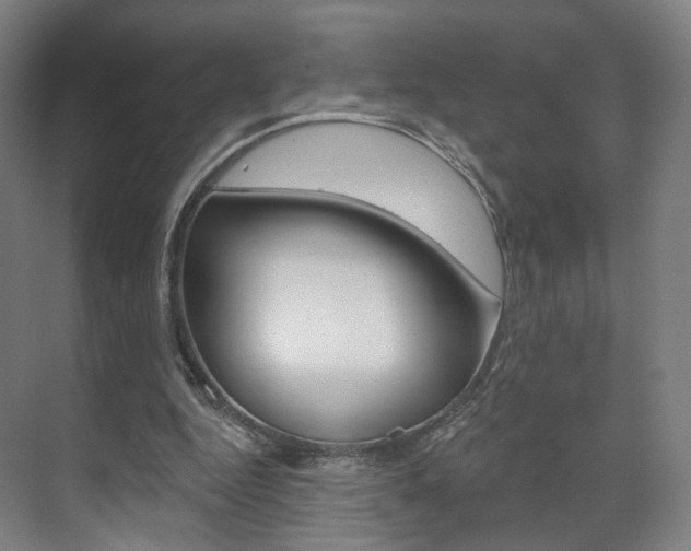 X0000071800344200606301015