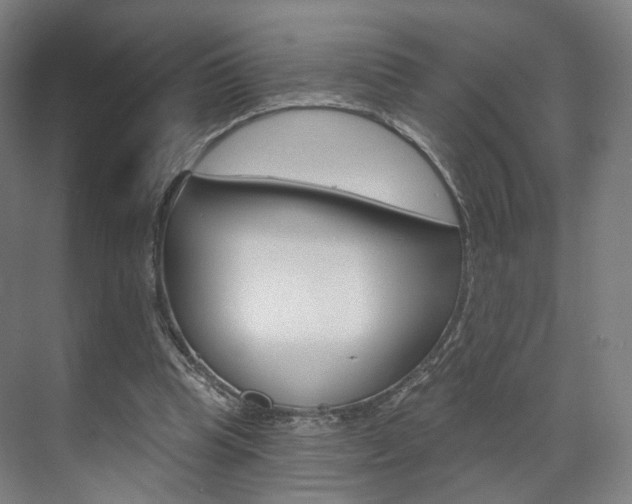 X0000071800345200606301015