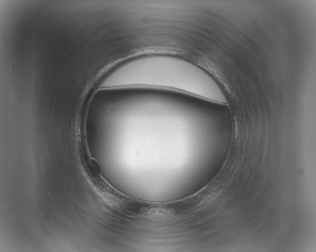 X0000071800348200606301015