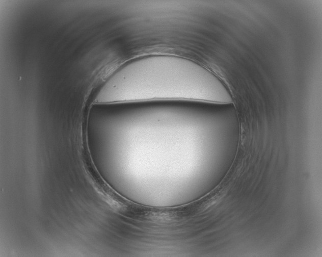 X0000071800349200606301015