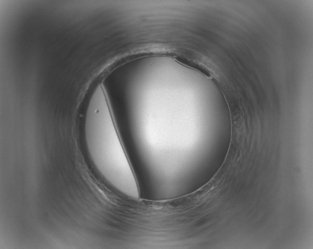 X0000071800350200606301015