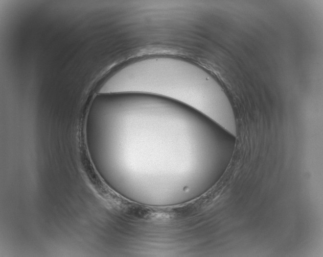 X0000071800352200606301015