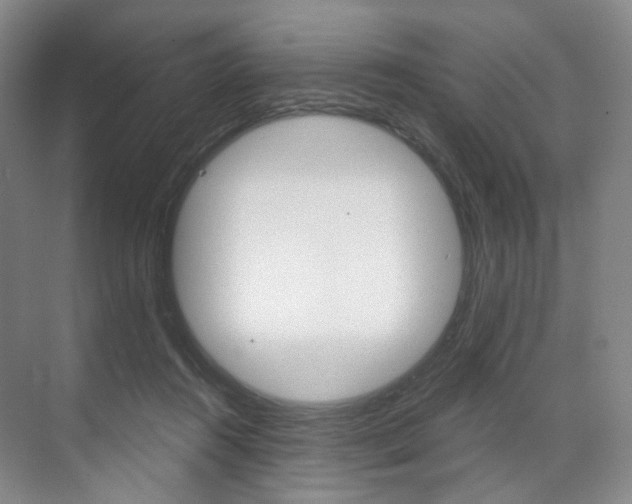 X0000071800360200606301016