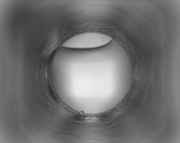 X0000071800363200606301016