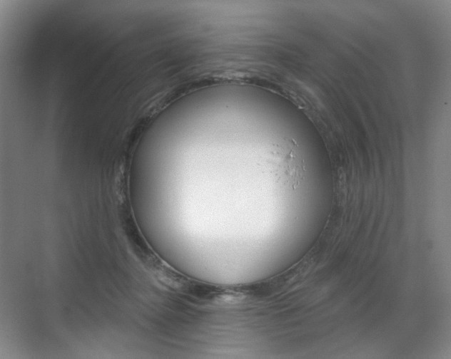 X0000071800364200606301016