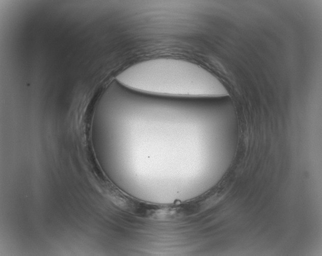 X0000071800366200606301016