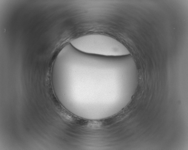 X0000071800369200606301016