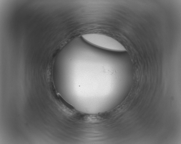 X0000071800372200606301016
