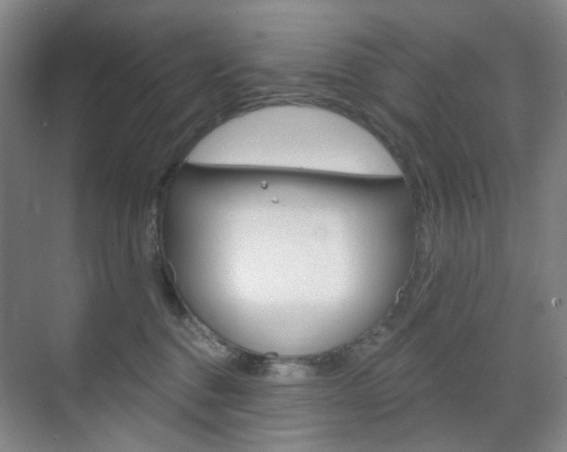 X0000071800376200606301016