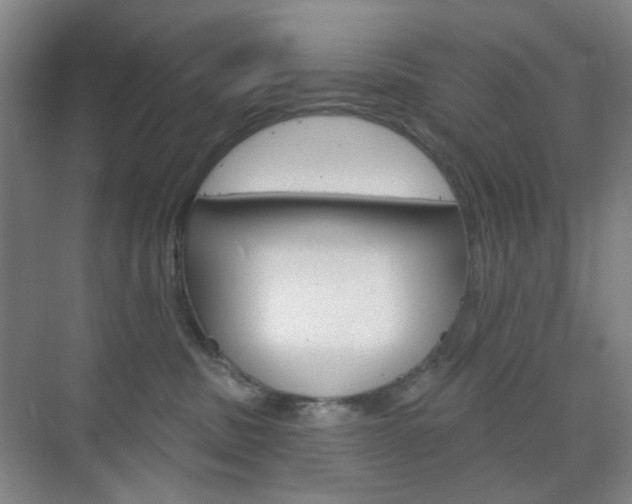 X0000071800379200606301016