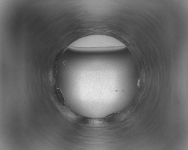 X0000071800380200606301016