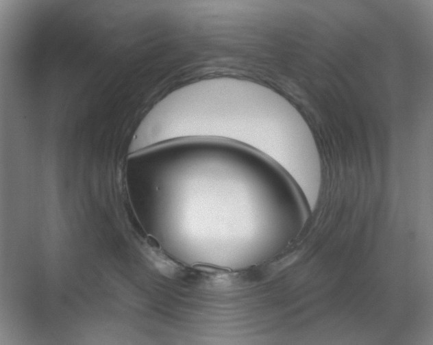 X0000071800382200606301016