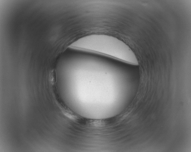 X0000071800383200606301016