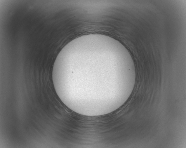 X0000071800384200606301016