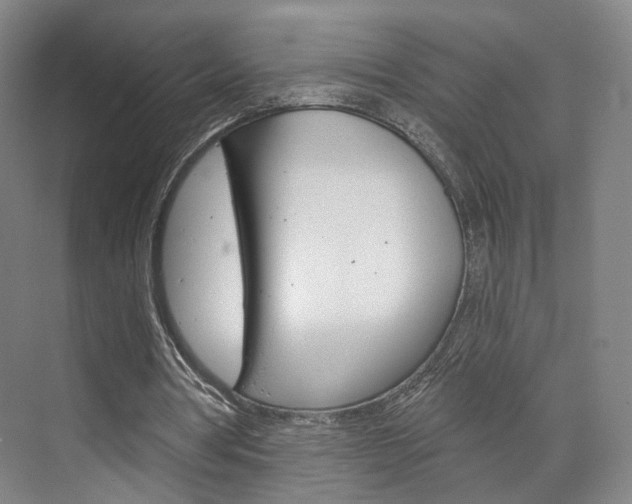 X0000071800386200606301015