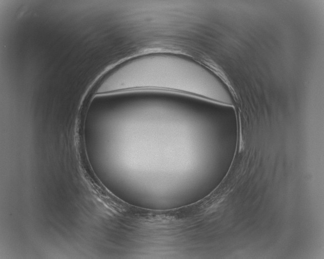 X0000071800387200606301015