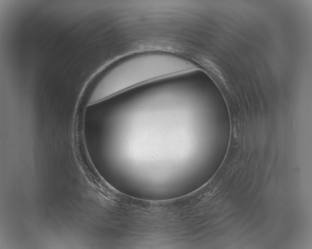 X0000071800388200606301015