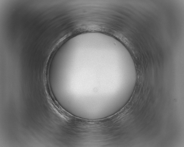 X0000071800390200606301015