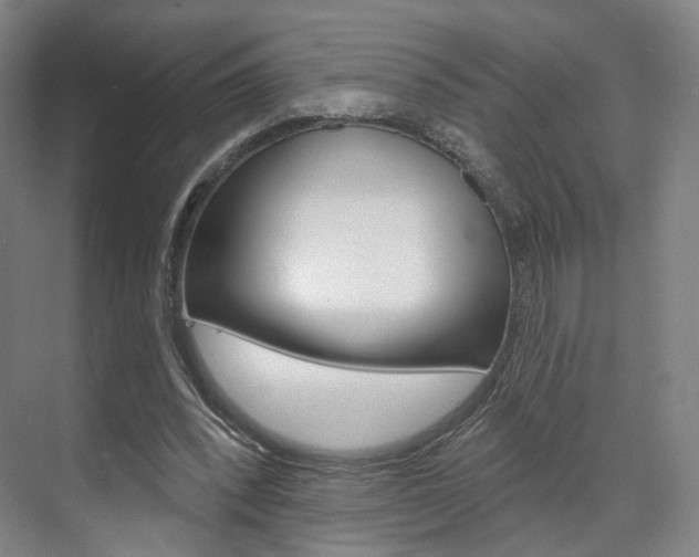 X0000071800392200606301015
