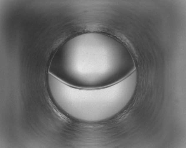 X0000071800393200606301015
