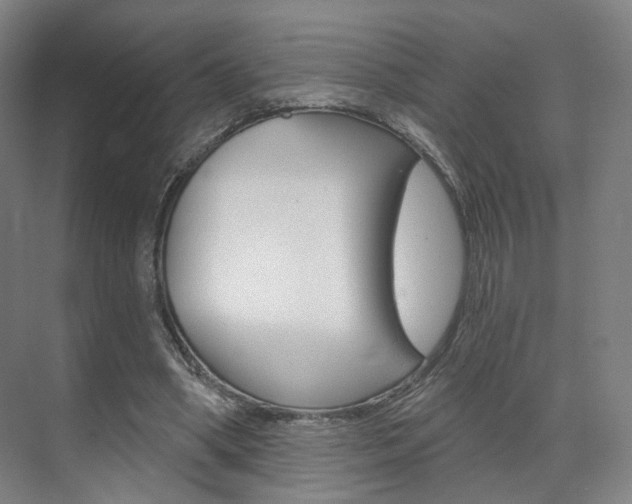 X0000071800394200606301015