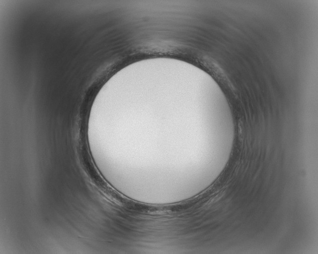 X0000071800396200606301015