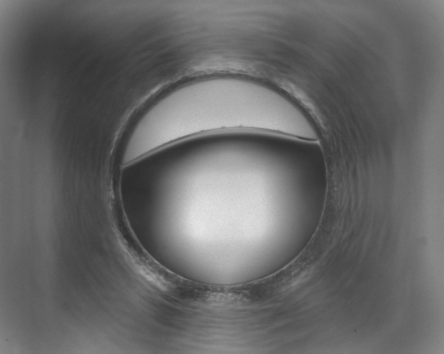 X0000071800399200606301015