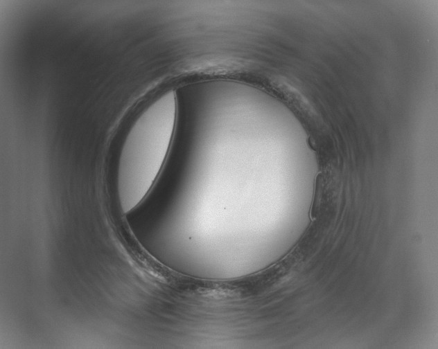 X0000071800400200606301015