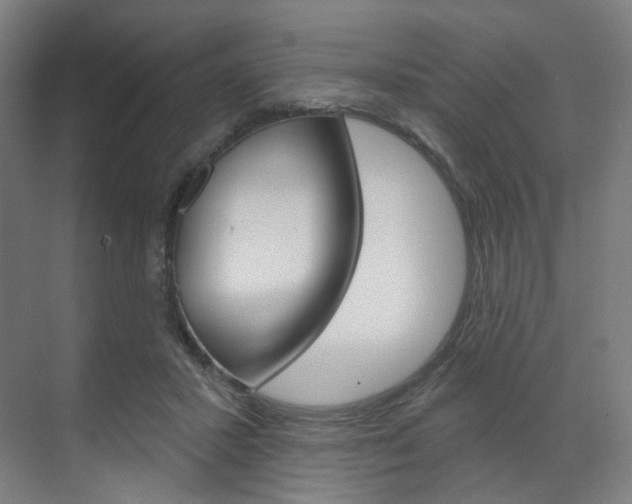X0000071800407200606301015