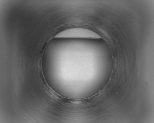 X0000071800409200606301015