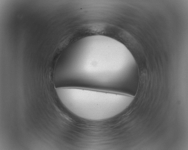 X0000071800412200606301015