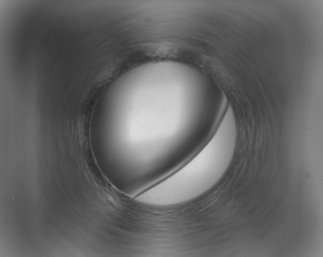 X0000071800416200606301015