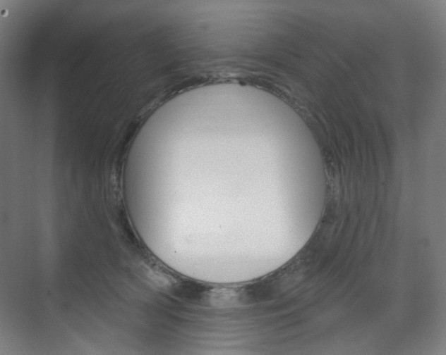 X0000071800418200606301015