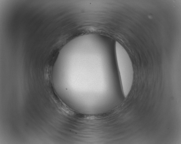 X0000071800423200606301014