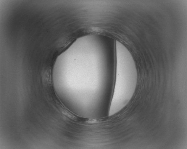 X0000071800425200606301014