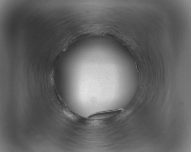 X0000071800432200606301014