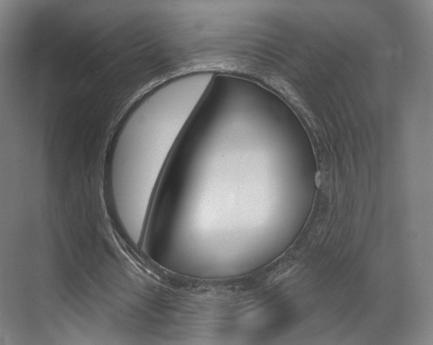 X0000071800434200606301014