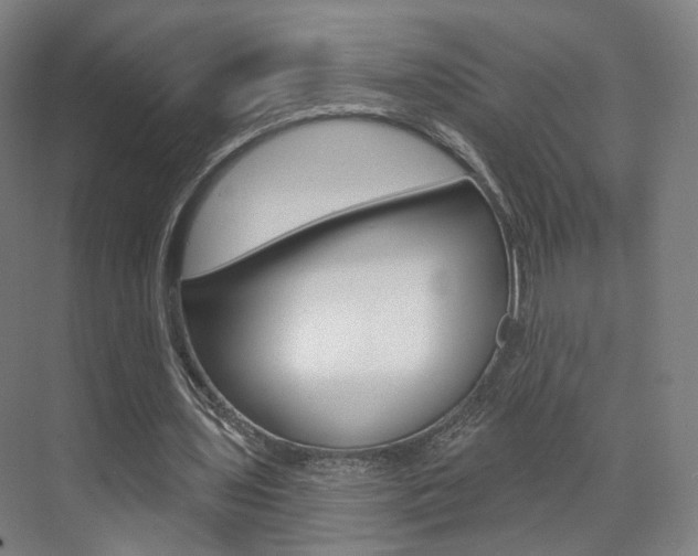 X0000071800435200606301014