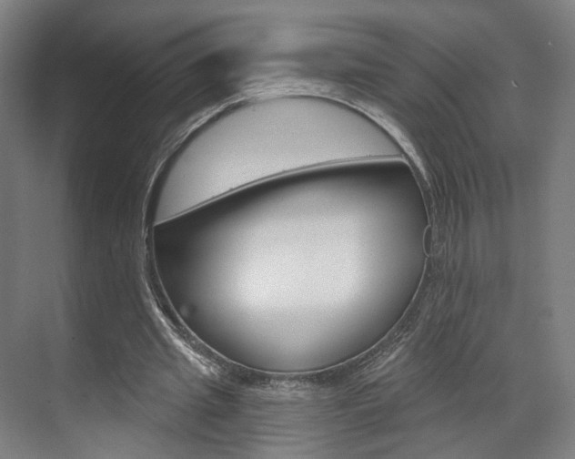 X0000071800437200606301014
