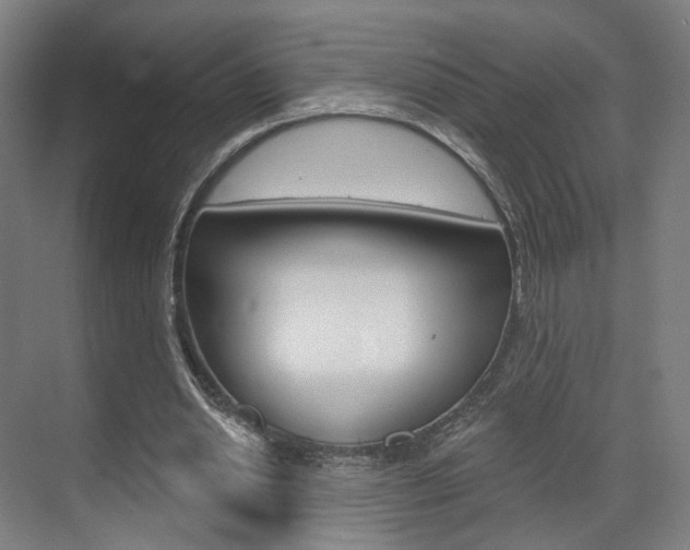X0000071800438200606301014