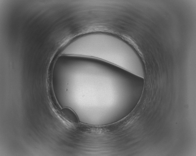 X0000071800439200606301014
