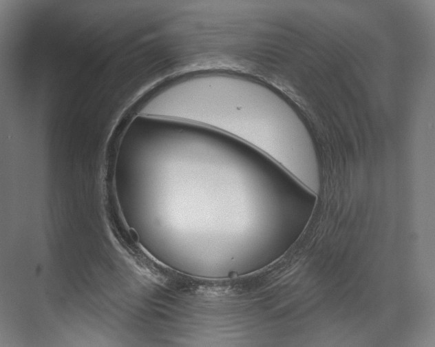 X0000071800440200606301014