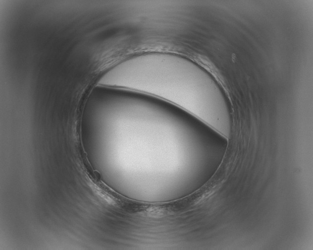 X0000071800441200606301014