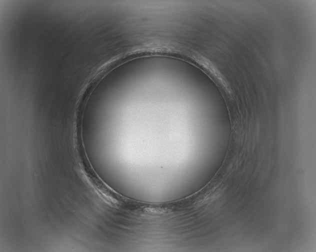 X0000071800442200606301014