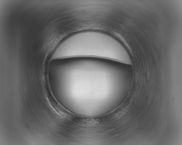 X0000071800443200606301014