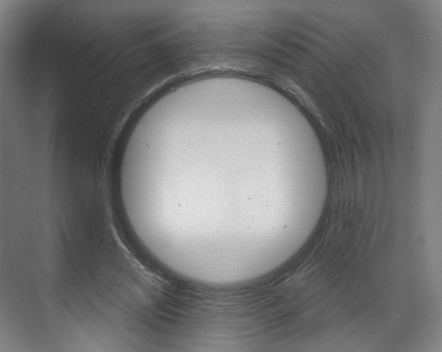 X0000071800444200606301014