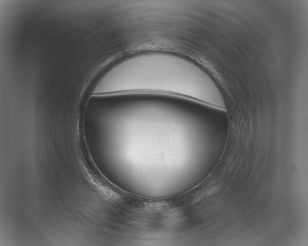 X0000071800446200606301014